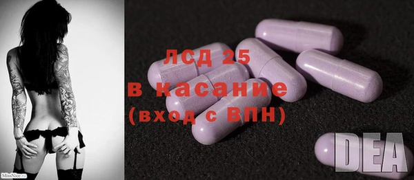 амф Алзамай