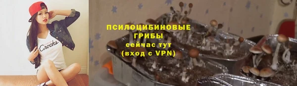 первитин Алексеевка